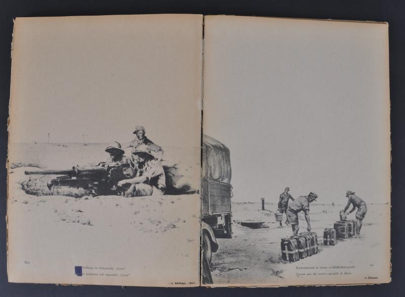 'Marsch Und Kampf Des DAK 1941 '